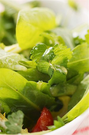 Wild herb salad (close-up) Stock Photo - Premium Royalty-Free, Code: 659-01844548