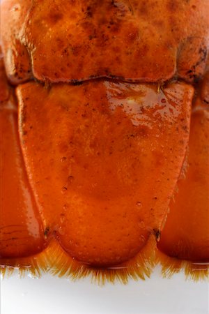Cooked lobster (detail of tail) Stock Photo - Premium Royalty-Free, Code: 659-01844655