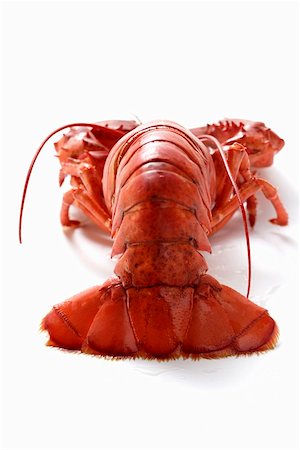 A single boiled lobster Stock Photo - Premium Royalty-Free, Code: 659-01844656