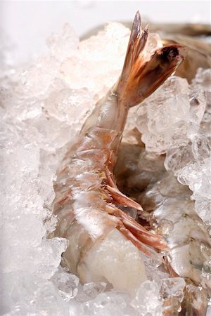 simsearch:659-01853208,k - King prawns without heads on ice Stock Photo - Premium Royalty-Free, Code: 659-01844739