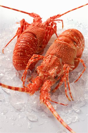 simsearch:659-01844660,k - Deux langoustes sur glace pilée Photographie de stock - Premium Libres de Droits, Code: 659-01844814