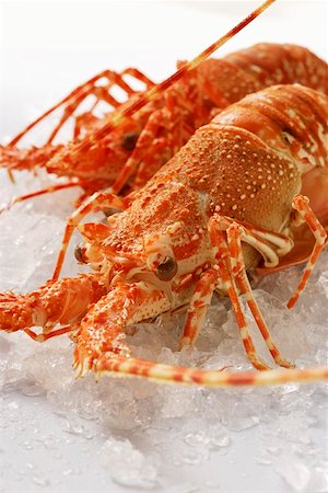 simsearch:659-01844660,k - Deux langoustes sur glace pilée Photographie de stock - Premium Libres de Droits, Code: 659-01844813