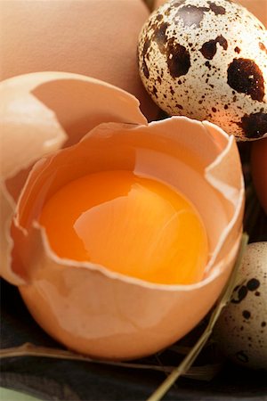 egg still life - Eggs, egg broken open and quail’s eggs on straw Stock Photo - Premium Royalty-Free, Code: 659-01844835