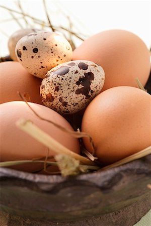 egg still life - Brown hen’s eggs and quail’s eggs in wooden bowl with straw Stock Photo - Premium Royalty-Free, Code: 659-01844832