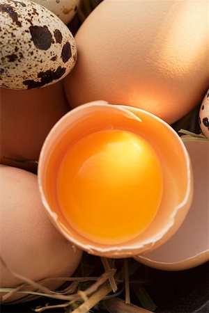 egg still life - Eggs, egg broken open and quail’s eggs on straw Stock Photo - Premium Royalty-Free, Code: 659-01844833