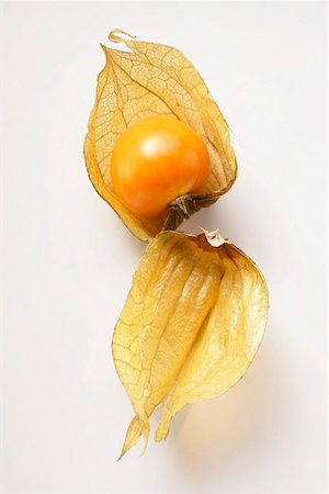 simsearch:659-01844953,k - A physalis Stock Photo - Premium Royalty-Free, Code: 659-01844939