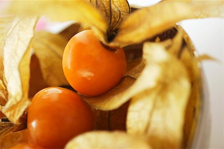 physalis - Physalis with calyxes in a bowl Foto de stock - Sin royalties Premium, Código: 659-01844948