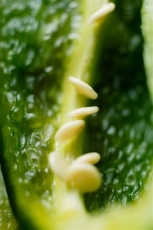 simsearch:659-06151562,k - Green pepper (Poblano from Mexico), detail Stock Photo - Premium Royalty-Free, Code: 659-01845015