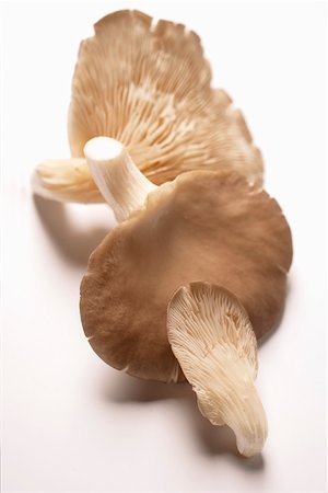 simsearch:659-03537806,k - Three oyster mushrooms Foto de stock - Royalty Free Premium, Número: 659-01845134