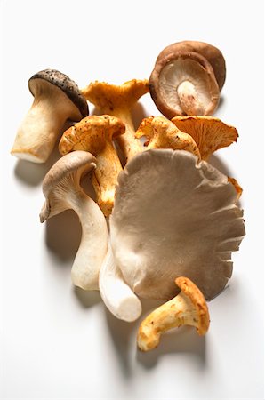 Oyster mushrooms, king oyster mushrooms and chanterelles Stock Photo - Premium Royalty-Free, Code: 659-01845131