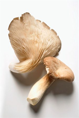 simsearch:659-03537806,k - Two oyster mushrooms Foto de stock - Royalty Free Premium, Número: 659-01845133