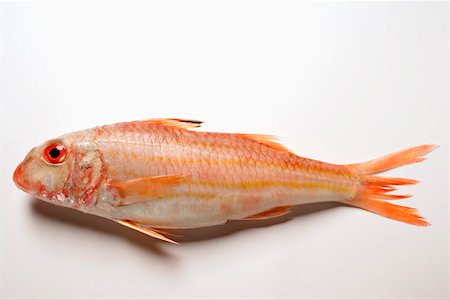 Fresh red mullet Stock Photo - Premium Royalty-Free, Code: 659-01845168