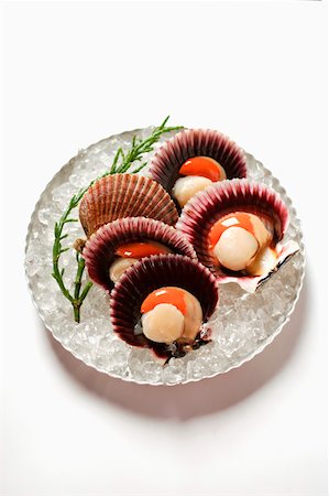 Scallops, opened, on plate with ice Stock Photo - Premium Royalty-Free, Code: 659-01845232