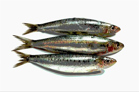 simsearch:659-01844483,k - Three sardines, photographed with special effect Stock Photo - Premium Royalty-Free, Code: 659-01845376