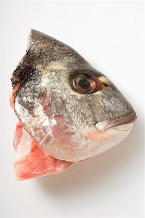 dicentrarchus labrax - Head of a sea bass Foto de stock - Sin royalties Premium, Código: 659-01845478