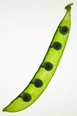 pod peas - Pea pod with peas, back-lit Stock Photo - Premium Royalty-Free, Code: 659-01845558