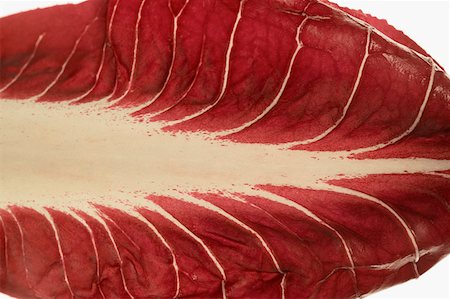 Feuilles de Radicchio de Trévise (détail) Photographie de stock - Premium Libres de Droits, Code: 659-01845575