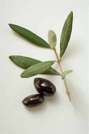 simsearch:659-01845839,k - Two black olives beside olive branch Foto de stock - Sin royalties Premium, Código: 659-01845841