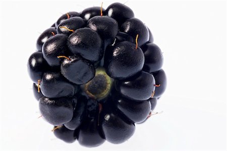 single blackberry - Blackberry (detail) Stock Photo - Premium Royalty-Free, Code: 659-01846535