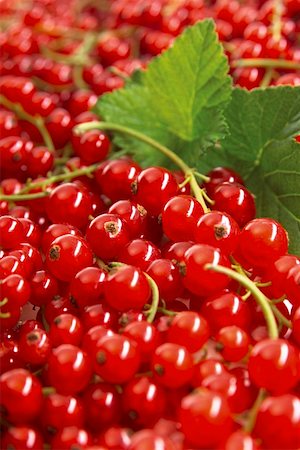 simsearch:659-07027210,k - Redcurrants with leaves (close- up) Foto de stock - Royalty Free Premium, Número: 659-01846549