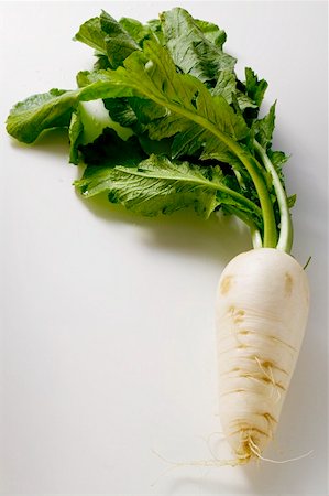 radish - White radish Foto de stock - Sin royalties Premium, Código: 659-01846796