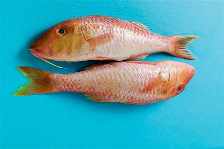 fresh blue fish - Two red mullet on blue background Stock Photo - Premium Royalty-Free, Code: 659-01846917