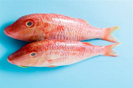 simsearch:659-01844483,k - Fresh red mullet on blue background Stock Photo - Premium Royalty-Free, Code: 659-01847003