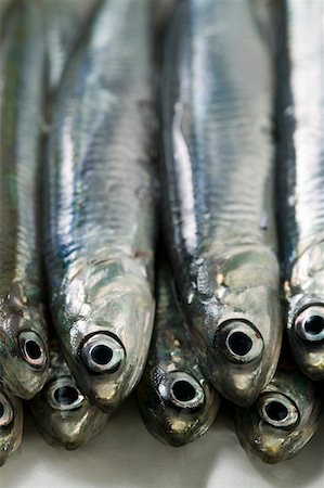 Several fresh anchovies (close- up) Foto de stock - Sin royalties Premium, Código: 659-01847145