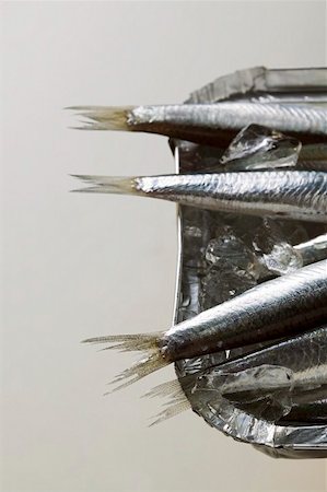Several anchovies (tails) in aluminium dish with ice Stock Photo - Premium Royalty-Free, Code: 659-01847149
