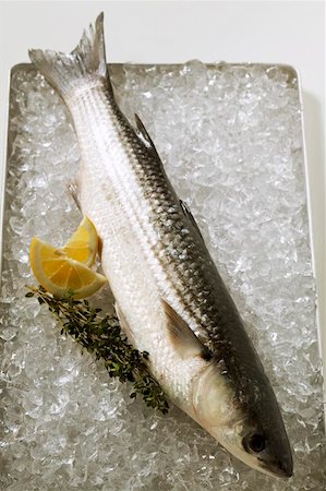 Grey mullet on ice Stock Photo - Premium Royalty-Free, Code: 659-01847191