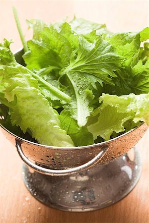 simsearch:659-03533051,k - Freshly washed salad leaves in colander Foto de stock - Sin royalties Premium, Código: 659-01847348