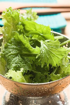 salad ingredient - Freshly washed salad leaves in colander Stock Photo - Premium Royalty-Free, Code: 659-01847352