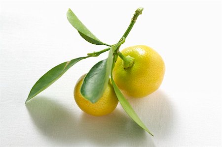 Two small grapefruits with leaves Stock Photo - Premium Royalty-Free, Code: 659-01848045