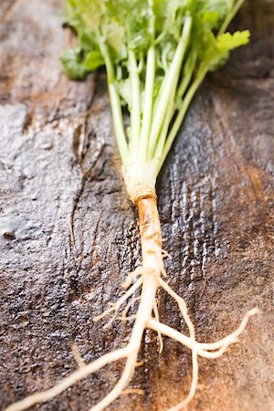 simsearch:659-07028399,k - Coriander with roots Stock Photo - Premium Royalty-Free, Code: 659-01848153