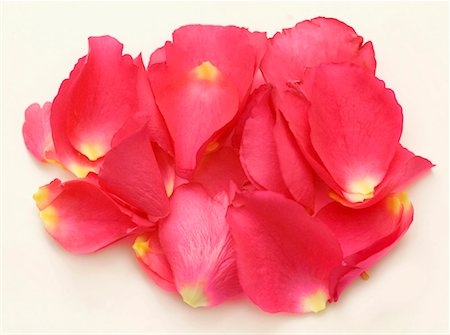 flower petals outline - Pink rose petals Stock Photo - Premium Royalty-Free, Code: 659-01848306
