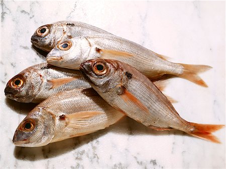 Pink bream Foto de stock - Sin royalties Premium, Código: 659-01848745