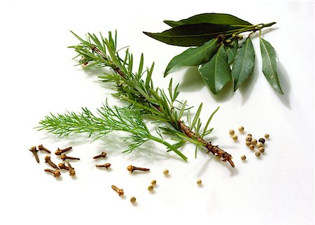 Assorted Herbs & Spices Stock Photo - Premium Royalty-Free, Code: 659-01848807
