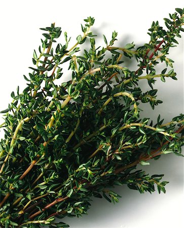 Thyme Stock Photo - Premium Royalty-Free, Code: 659-01848854