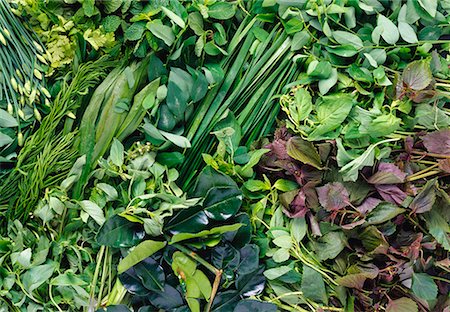 Close Up of Fresh Herbs Stock Photo - Premium Royalty-Free, Code: 659-01848955