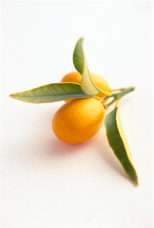 Two kumquats with leaves Stock Photo - Premium Royalty-Free, Code: 659-01849029