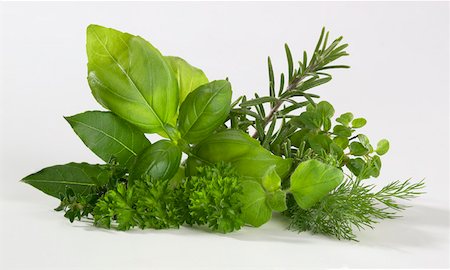 A bunch of fresh herbs Stock Photo - Premium Royalty-Free, Code: 659-01849032