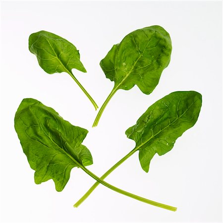 spinach leaf - Four spinach leaves Stock Photo - Premium Royalty-Free, Code: 659-01849113