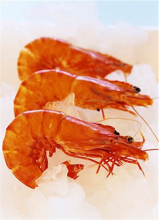 Three king prawns Foto de stock - Sin royalties Premium, Código: 659-01849133