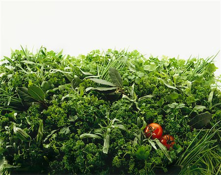 Two tomatoes on a bed of herbs Stock Photo - Premium Royalty-Free, Code: 659-01849194