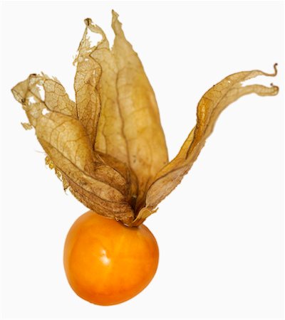 simsearch:659-03534658,k - Un Physalis (gros plan) Photographie de stock - Premium Libres de Droits, Code: 659-01849444