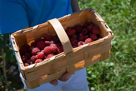 Woodchip basket of fresh raspberries Stock Photo - Premium Royalty-Free, Code: 659-01849854