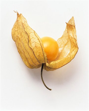 simsearch:659-01844953,k - A Cape Gooseberry Stock Photo - Premium Royalty-Free, Code: 659-01842217