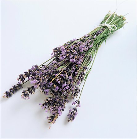 A Bunch of Lavender Foto de stock - Sin royalties Premium, Código: 659-01842287