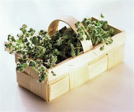 A Basket Filled with Marjoram Foto de stock - Sin royalties Premium, Código: 659-01842314