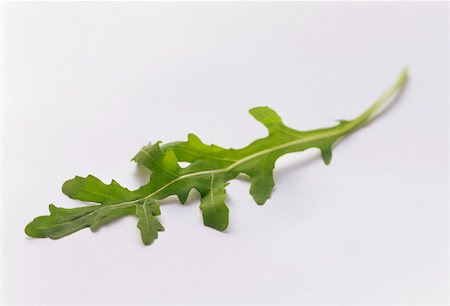 rucola - Une feuille de roquette Photographie de stock - Premium Libres de Droits, Code: 659-01842345